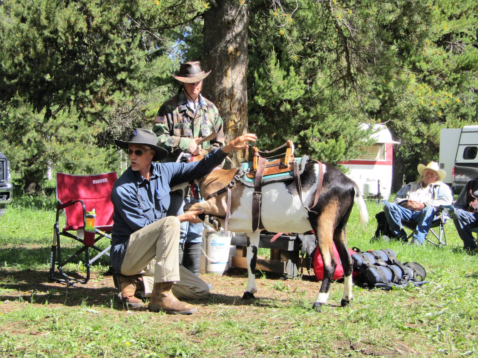 A Pack Goat Weekend at Rendy